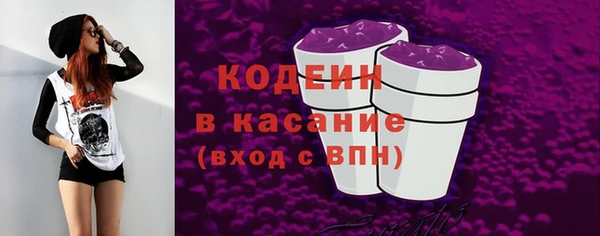индика Сосновый Бор