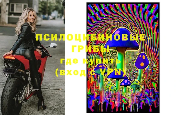 кокс Алзамай