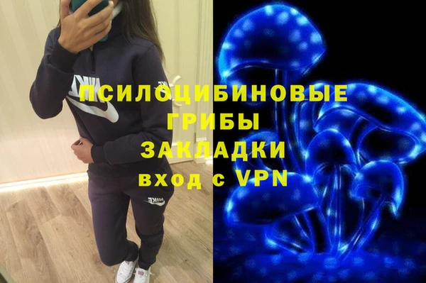 твердый Алексин