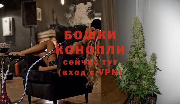 МДПВ Алексеевка